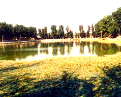 北京金中都太液池遺址天氣