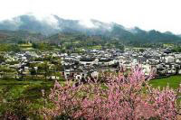 南昌桃花三村天氣