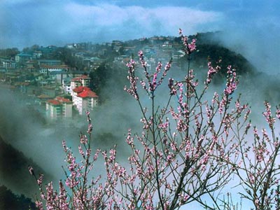 廬山東林大峽谷生態(tài)文化旅游休閑度假區(qū)天氣
