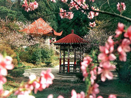 九江花徑公園天氣