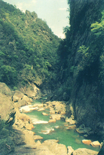 井岡山仙口天氣
