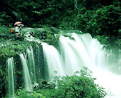 井岡山桐木嶺天氣
