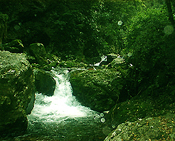 井岡山鵝嶺天氣