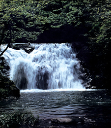 撫州資溪大覺山天氣