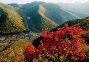 撫州翠云山天氣