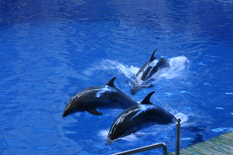 北京海洋館天氣