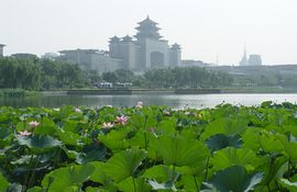 豐臺蓮花池公園天氣