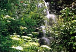 門頭溝百花山天氣