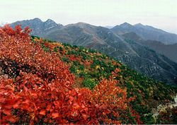 門頭溝大寒嶺關城天氣