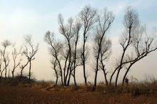 房山竇店土城天氣