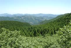 房山白草畔天氣