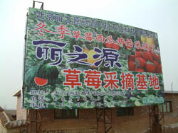 大興麗之源燕清采摘園天氣