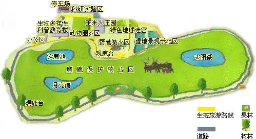 大興麋鹿苑博物館天氣