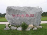 北京大興御林古桑園天氣