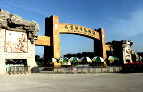 北京大興野生動物園天氣