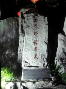 廣州從化仙沐園溫泉天氣