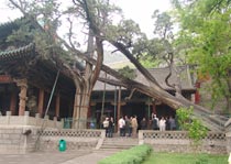 太原周柏唐槐天氣