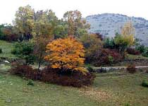 陽城析城山天氣