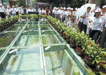 東山北京路千年古道遺址天氣