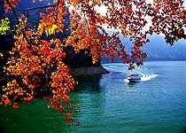 從化流溪河國家森林公園天氣