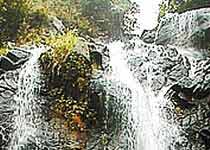 龍崗馬巒山天氣