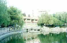 羅湖文化公園天氣