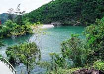 中山五桂山天氣