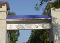 東莞虎門石洞森林公園天氣