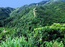 汕尾羊蹄嶺天氣