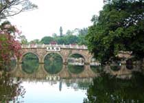 赤坎寸金橋天氣