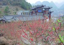 清新桃源生態旅游區天氣