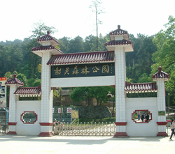 韶關森林公園天氣