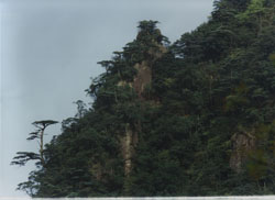 乳源天井山森林公園天氣
