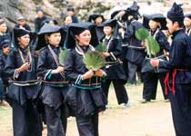 那坡吞力黑衣壯山寨天氣
