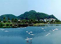 三亞白鷺公園天氣