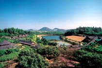 番禺化龍農業大觀園天氣