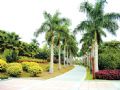 廣州珠江公園天氣
