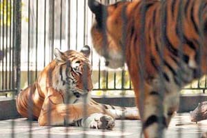 廣州動物園天氣