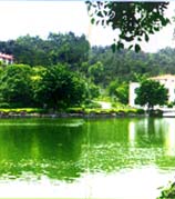 黃埔丹水坑旅游區(qū)天氣