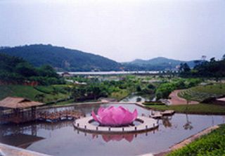 廣州帽峰九龍澗天氣