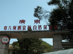 韶關車八嶺自然保護區天氣