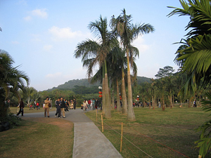 深圳蓮花山公園天氣