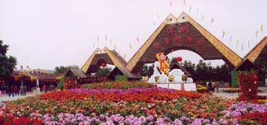 深圳市野生動(dòng)物園天氣