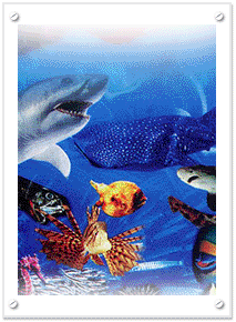 珠海海洋生態館天氣