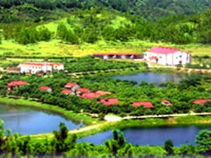 恩平鳳凰生態(tài)樂園天氣