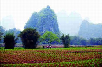 肇慶懷集世外桃源村天氣