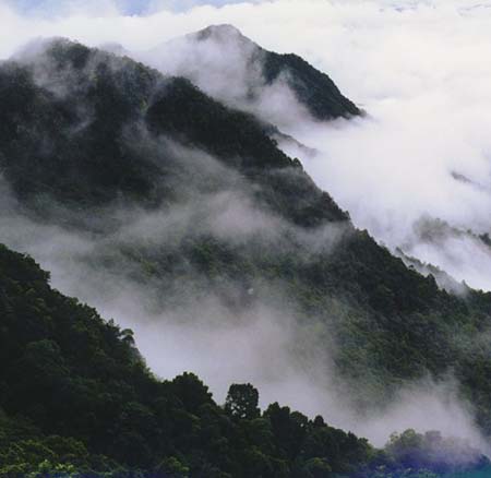 梅州陰那山天氣