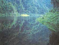 河源桂山天氣