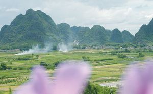 陽江合水鎮平北村天氣