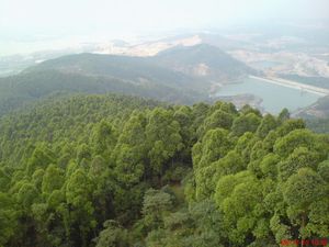 東莞水濂山天氣
